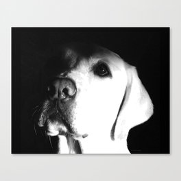The Perfect Lab - Labrador Retriever Dog Art Canvas Print