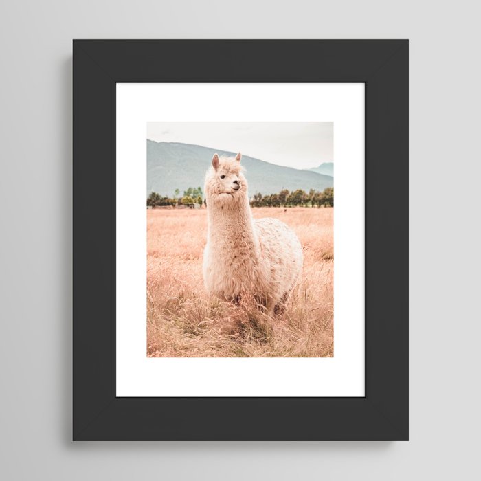 Framed Art Print