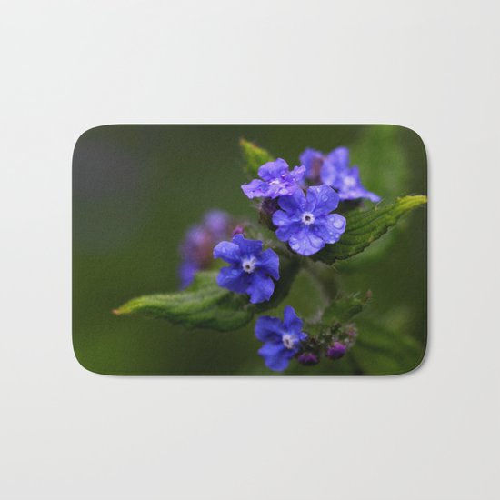 Omphalodes verna - JUSTART © Bath Mat