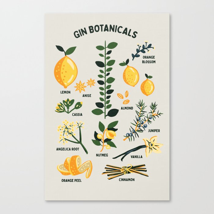 Gin Botanicals - Lemon, Orange, Cinnamon, Almond, Vanilla, Juniper & More Canvas Print