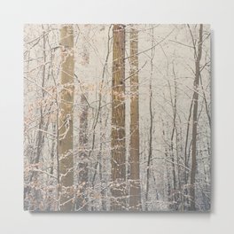 after the snow ...  Metal Print
