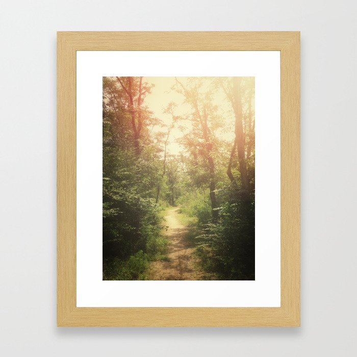 A Whimsical Woods Framed Art Print