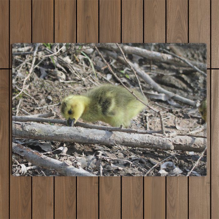 Goslings eating by the Shoreline Outdoor Rug