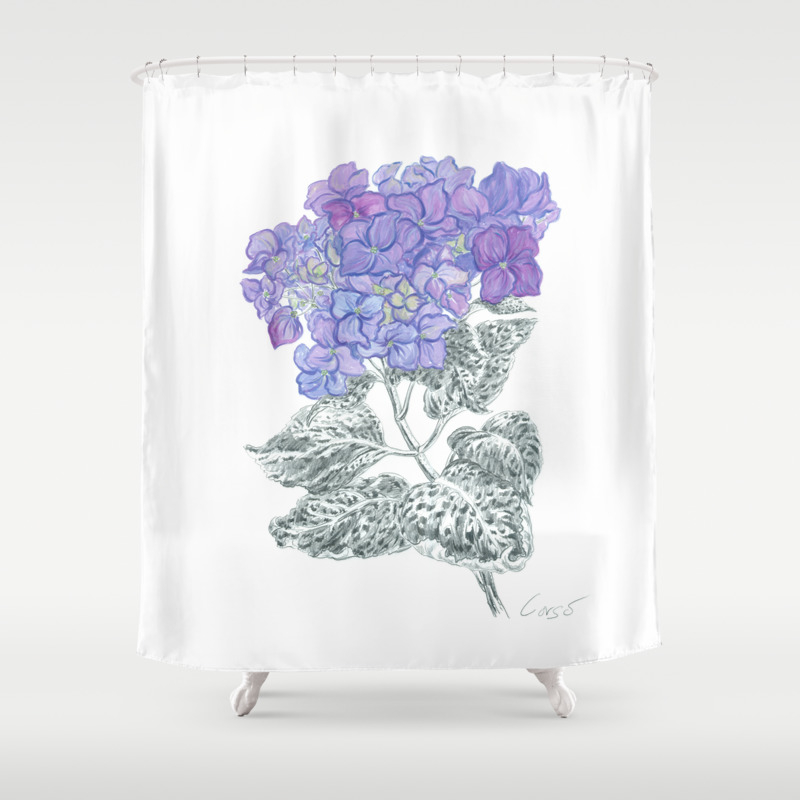 Hydrangea 01 Botanical Flower Lavender Blue Hydrangea Shower