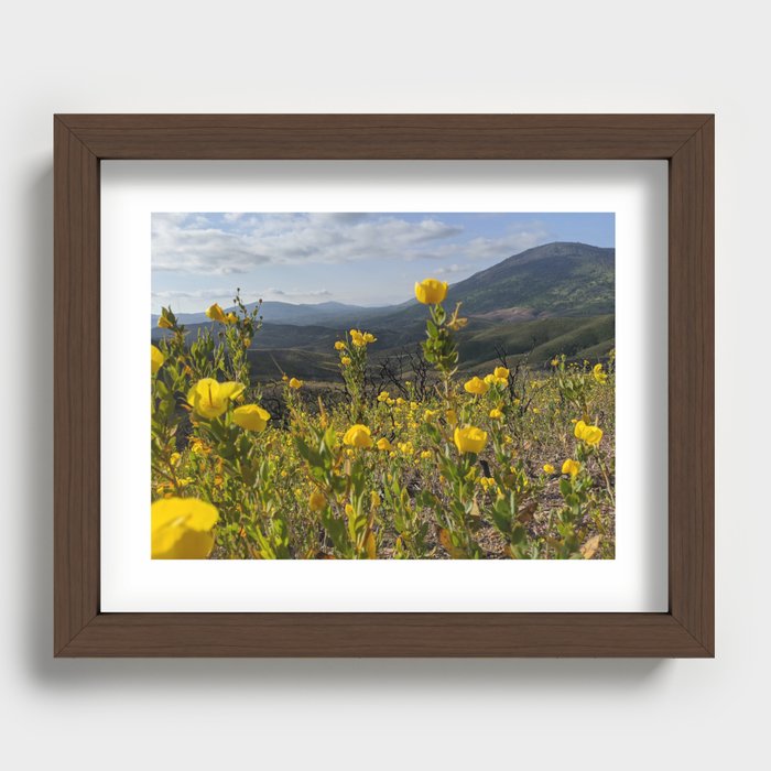 Flowers from Fire Recessed Framed Print