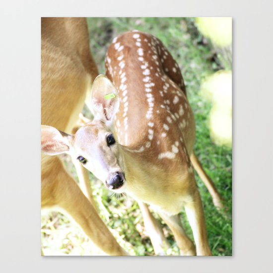 Spotted at the Zoo Canvas Print