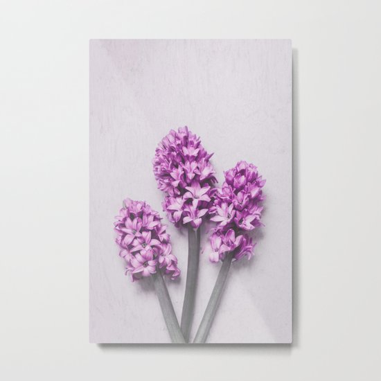 Pink Hyacinths Metal Print