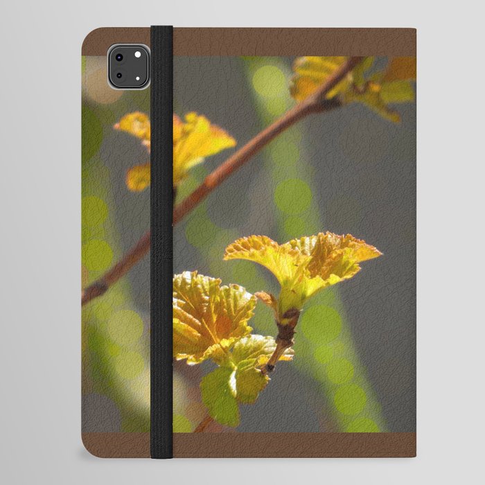 Spring Splendour - lovely young Ninebark leaves in shades of gold orange rust (abstract edit) iPad Folio Case