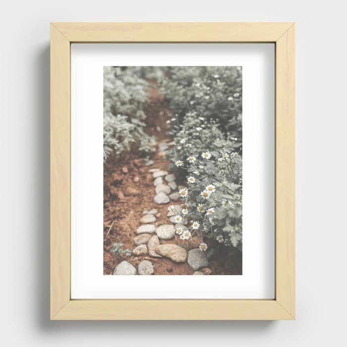 Muddy Daisies Recessed Framed Print