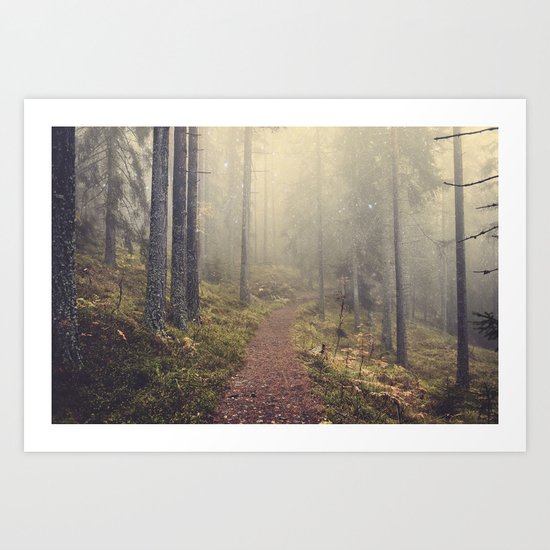 Norwegian Woods Art Print