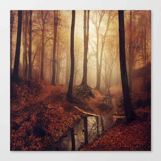 Forest Creek At Sunrise Canvas Print
