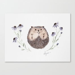 Hedgehog  Canvas Print