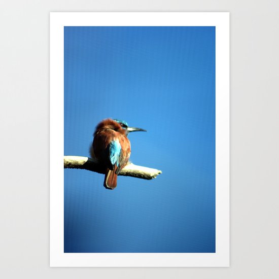 Bee-eater Art Print