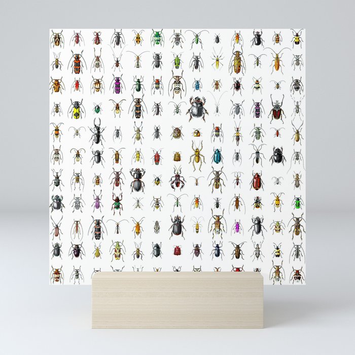 Beetlemania / Get your entomology on! Mini Art Print