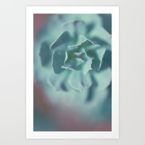 Succulent Art Print