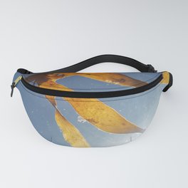 Fish view Fanny Pack