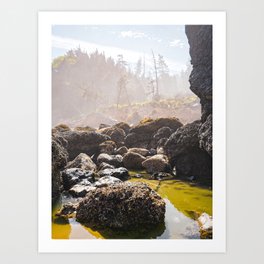 Oregon Coast Tide Pool | Travel Photography Art Print