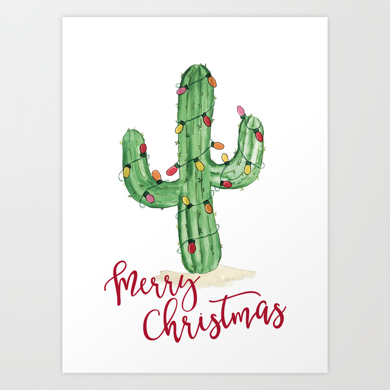 Christmas flowers-Merry Christmas Cactus