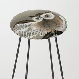  Owl, 1900-1930 by Ohara Koson Counter Stool