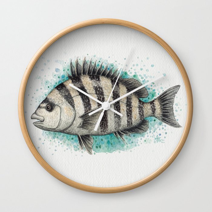 "Sheepshead Splash" by Amber Marine ~ Watercolor Fish Painting (Copyright 2016) Wall Clock