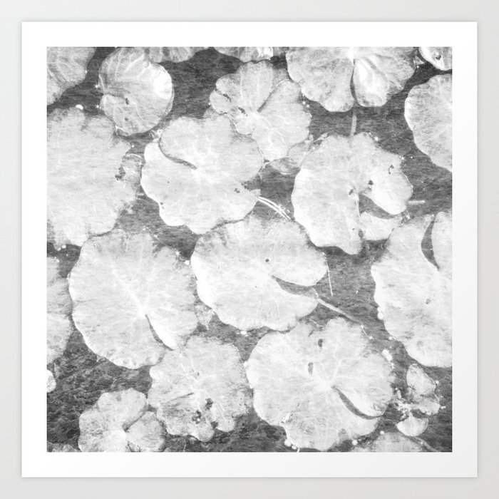 gray ruffled plant Art Print