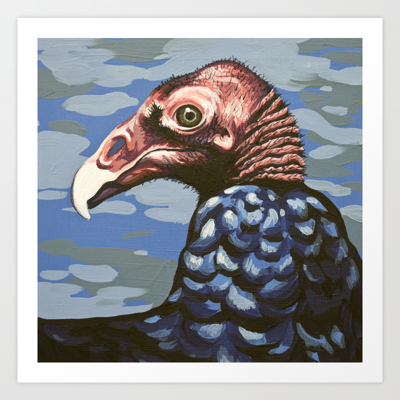Turkey Vulture Portrait Art Print By Laurawolf Society6
