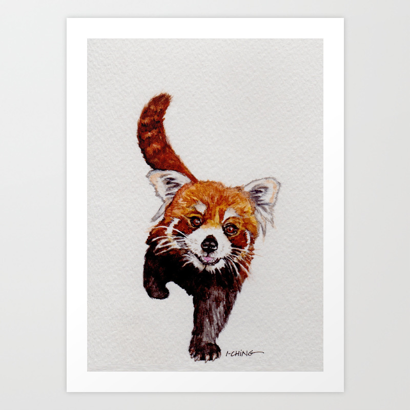 Red Panda Art Print By I Ching Lao Art Society6