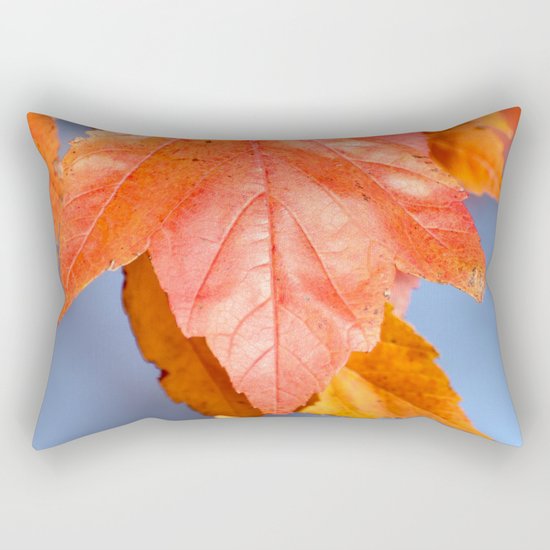 Nature's Pigment Rectangular Pillow