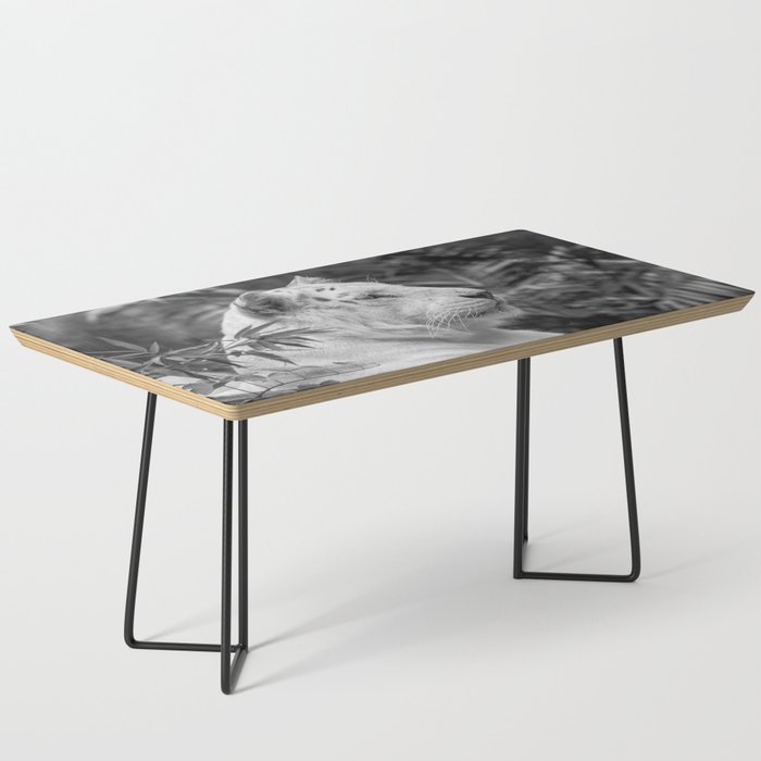 Tiger Black and White Coffee Table