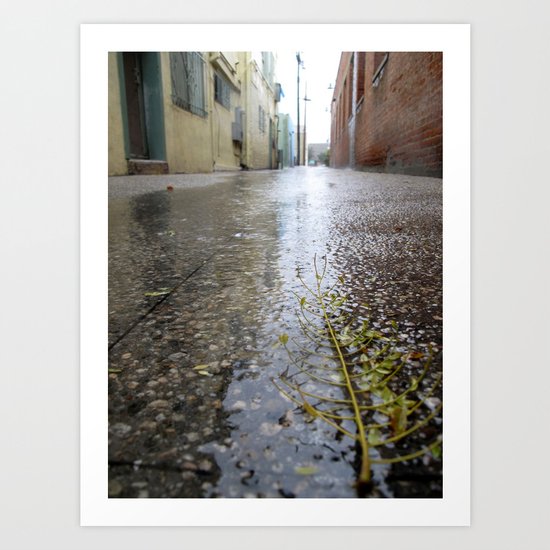 Rain leaf Art Print