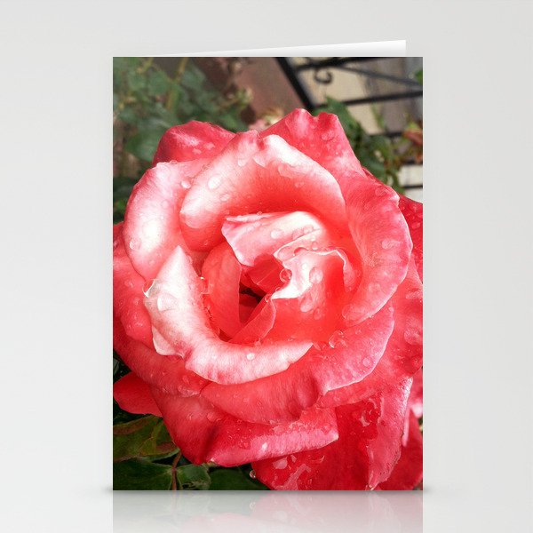 Rainy Day Rose Stationery Cards