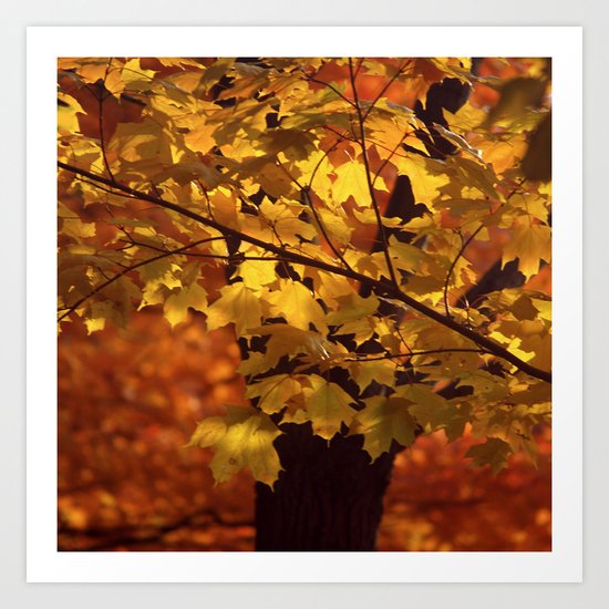 backlit Art Print