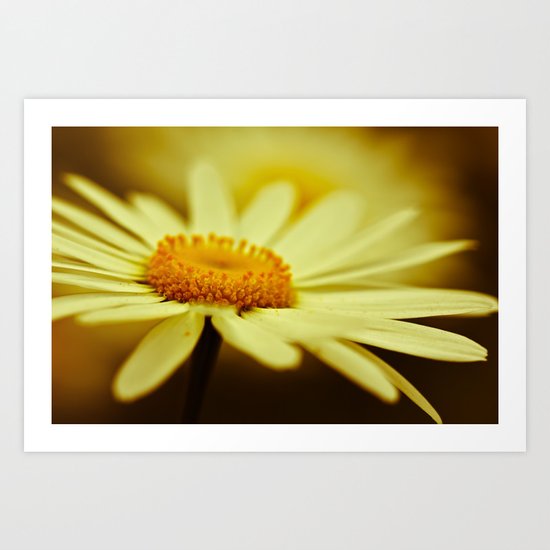 Delight Art Print