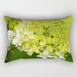 Elegant Chartreuse Green Limelight Hydrangea Macro Rectangular Pillow
