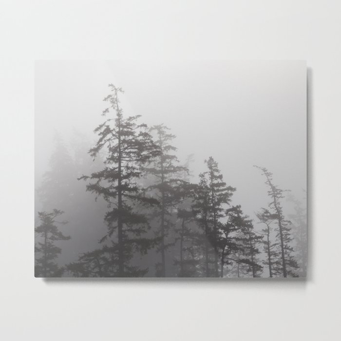 Foggy Forest Metal Print