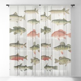 Illustrated North America Game Fish Identification Chart Sheer Curtain
