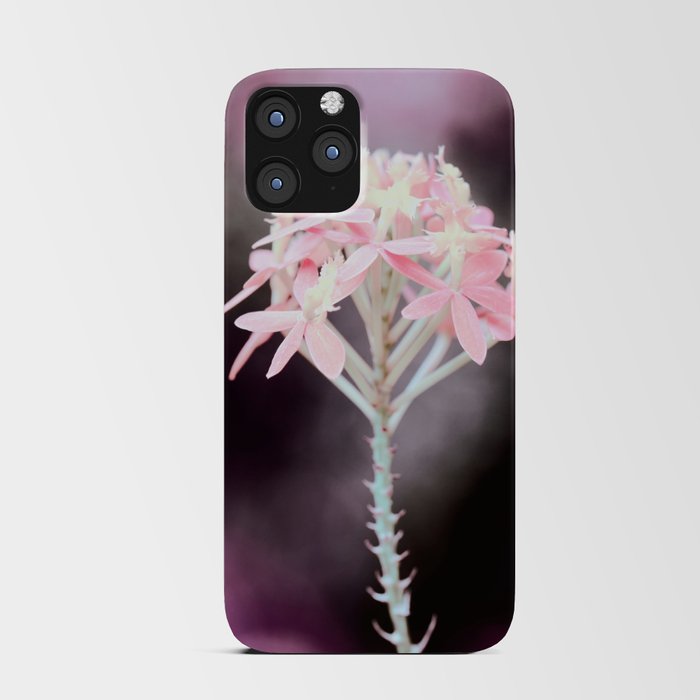 Moody Pink Tone On Epidendrum Radicans Orchid Close Up iPhone Card Case