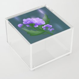 STARLIGHT PEONY Acrylic Box