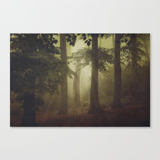 Inner Lights Canvas Print
