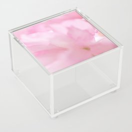 Flower series - Cherry Blossom I Acrylic Box