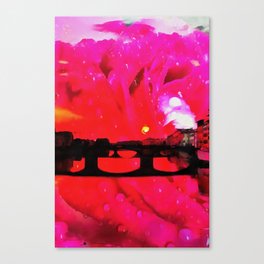 Through Rose Coloured Glasses Canvas Print