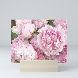 Pink Shabby Chic Peonies - Garden Peony Flowers Wall Prints Home Decor Mini Art Print