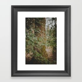 Forest Dance Framed Art Print