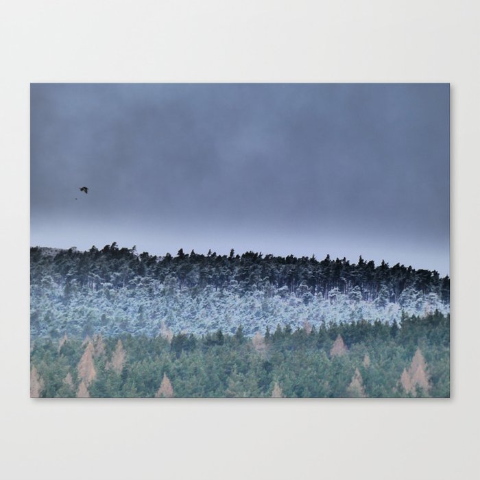 Flight of the Pine Forest in I Art and Afterglow Canvas Print