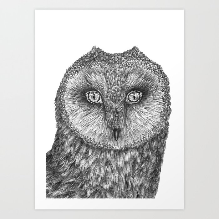 Little Barn Owl Art Print