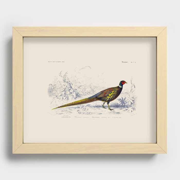 Recessed Framed Print