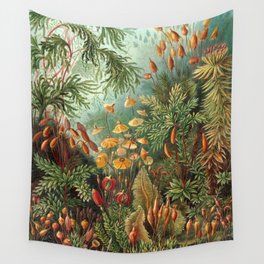 Ernst Haeckel Muscinae Microscopic Landscape Wall Tapestry