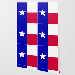 Texas State Flag Wallpaper