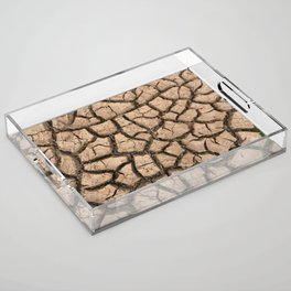 Arid soils Acrylic Tray