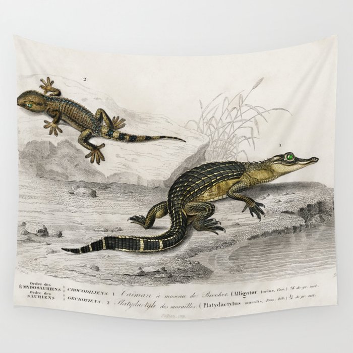 Alligator & Lilford'swall lizard  Wall Tapestry